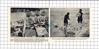 South Grafton Australien Überschwemmungen Clarence River - 1950 Nachrichtenausschnitt