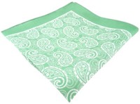 Tigertie Seideneinstecktuch GrüN Weiss Paisley Gemustert - Pochette 100% Seide