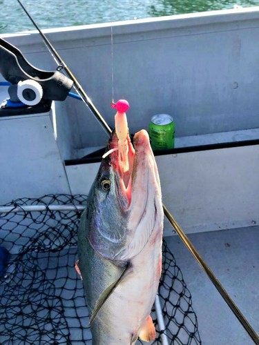SALMON JIG 5/8oz B2 HUMPY PINK CUSTOM LURE EAGLE CLAW HOOKS WA, OR, CA, AK, CAN - Picture 3 of 11