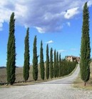 Foto 5 di 7
