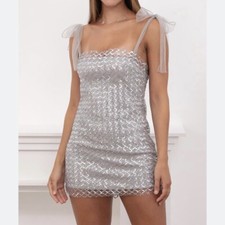 Silver Sequin Dress