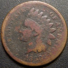  on The Hot Collector