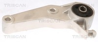 Motorlager Triscan 8505 24107 FüR Opel Corsa X01 F08 F68 W5L 16V Twinport DTI