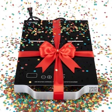 Equator 11" Portable One-Burner Induction Cooktop LIGHT AlumInum Handle 110V