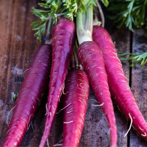 350 COSMIC PURPLE CARROT SEEDS FRESH FRESH HARVEST FOR GARDENS COLORFUL TASTY! - Picture 11 of 12