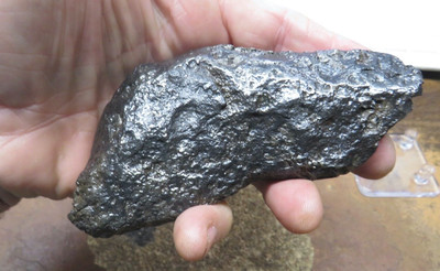 834 GM.  CAMPO DEL CIELO METEORITE ; B GRADE CLEANED. 1.8 POUNDS! CHEAP SILICATE