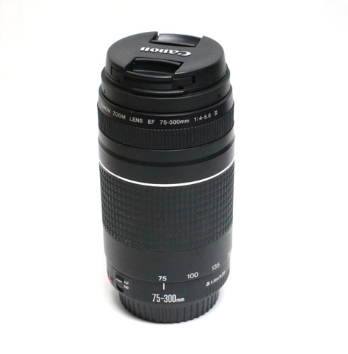Canon EF 75-300mm f/4-5.6 III Telephoto Zoom Lens