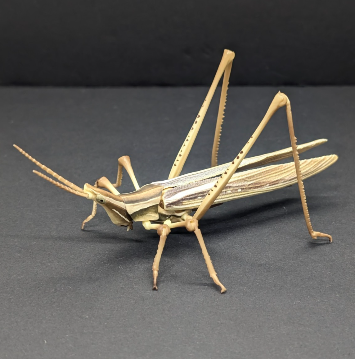 Bandai Gashapon Oriental Longheaded Locust Figure Big Realistic Japan Seller