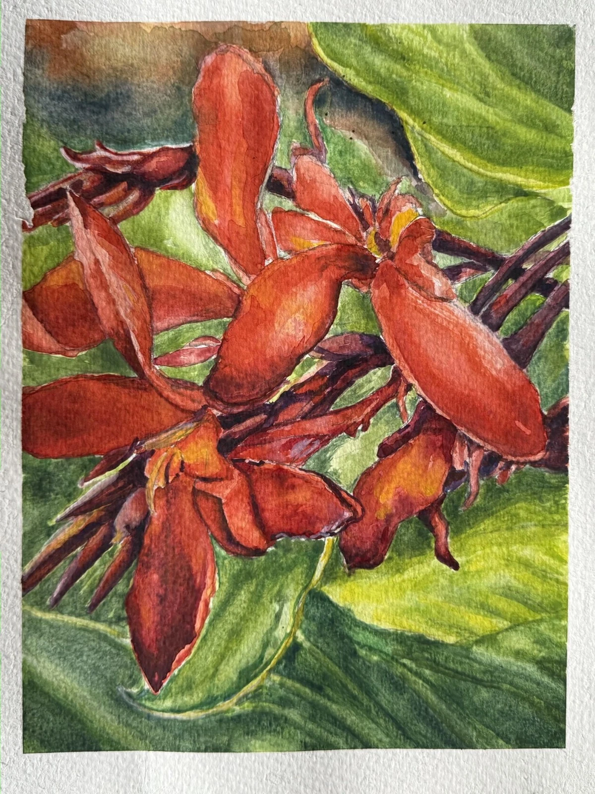 Red Canna Flowers watercolor art print