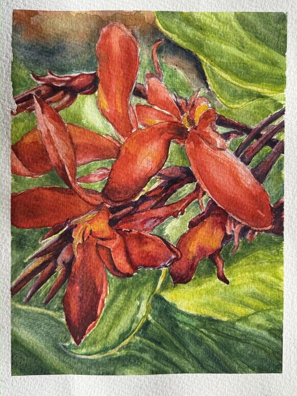 Original Watercolor Red Canna Flowers 10.5x7.5 on Watercolor Paper | Cannas