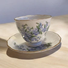 Ridgeway Queen Anne Tea Cup and Saucer