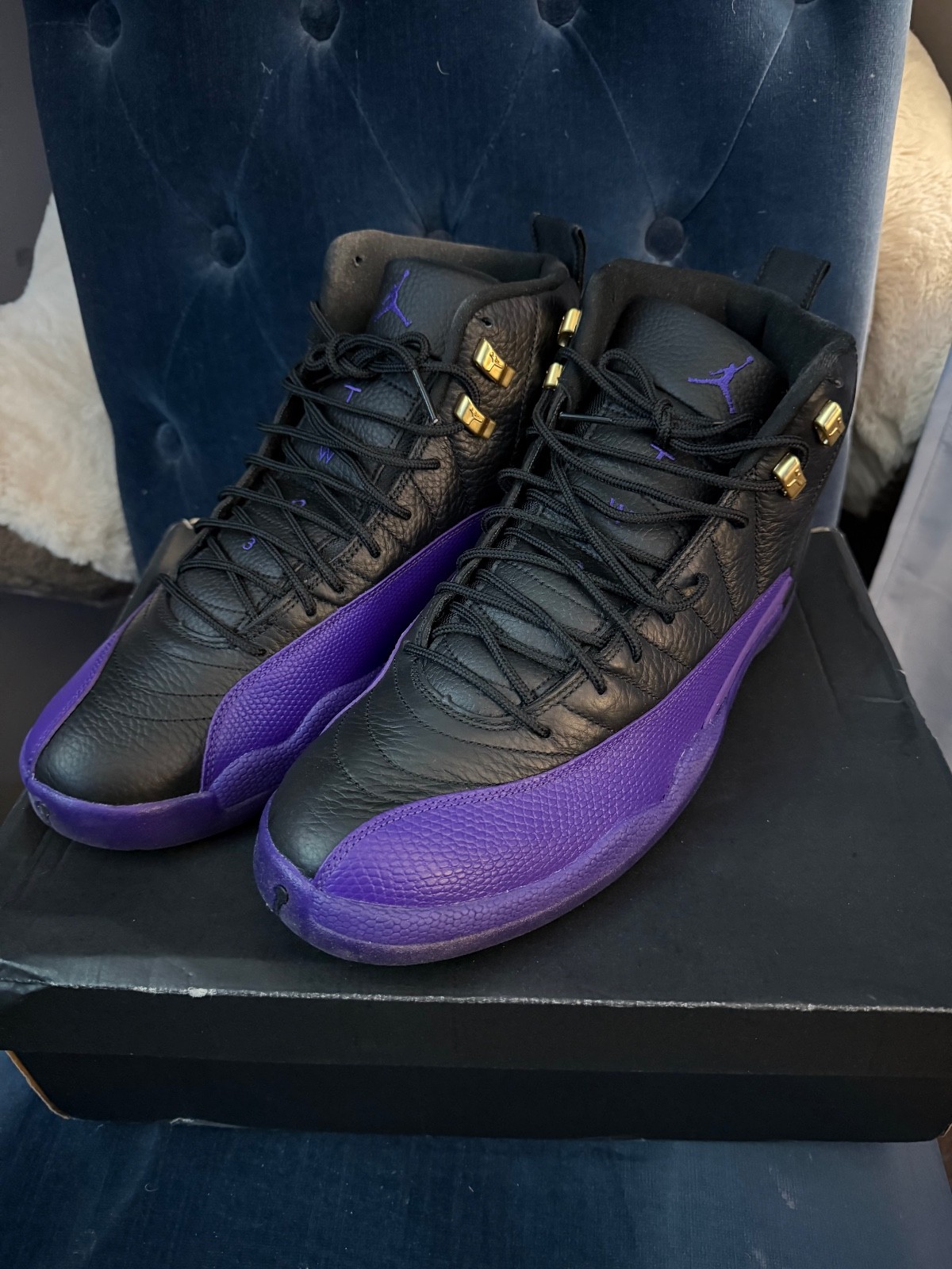 Nike Air Jordan 12 Retro Field Purple Size 14 BRAND NEW