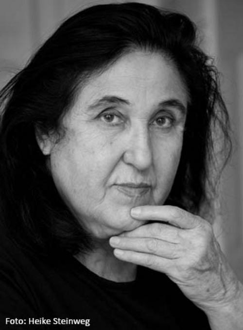 Thumbnail - Emine Sevgi Özdamar / Ein Von Schatten Begrenzter Raum9783518430088