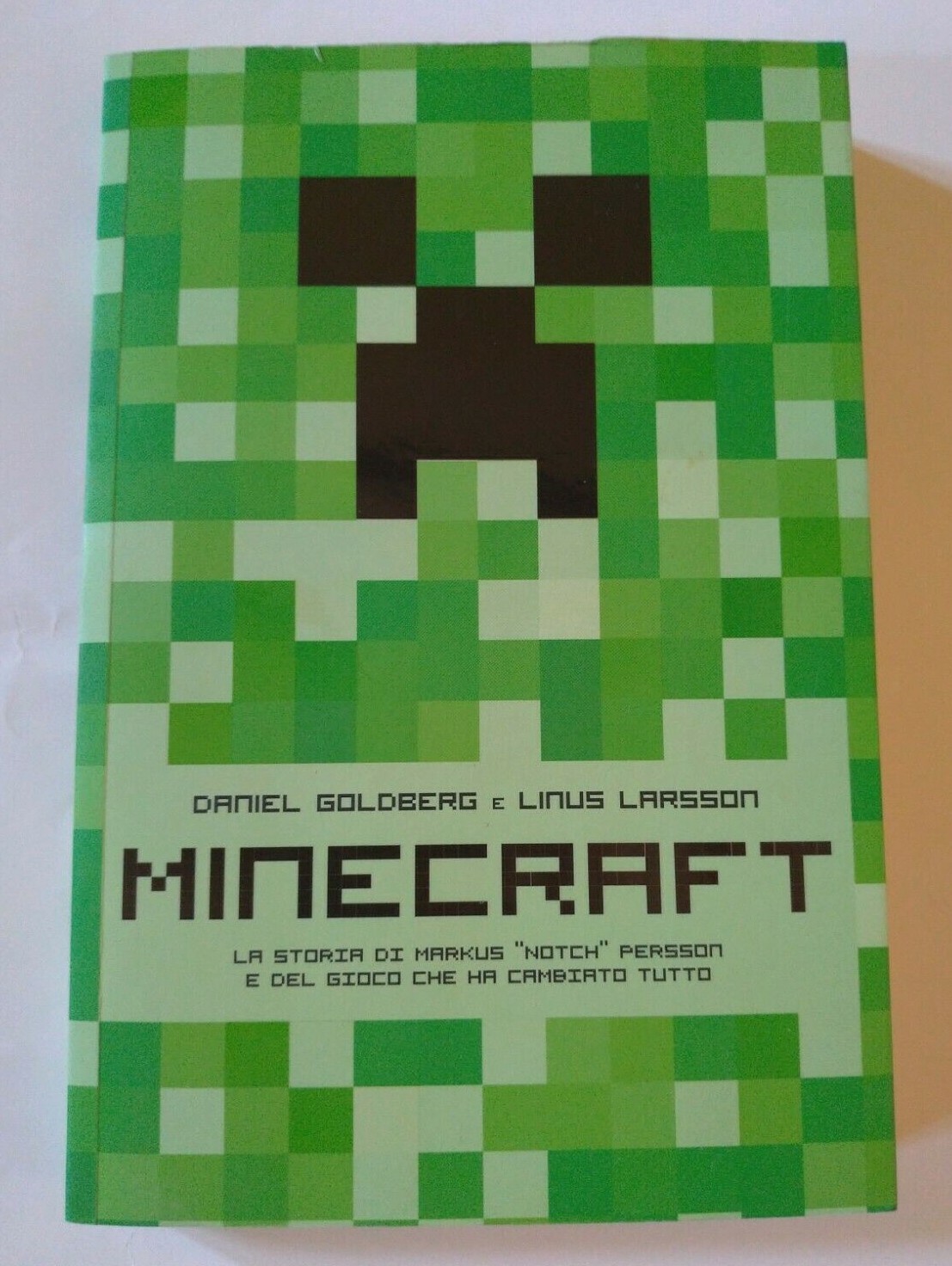 MINECRAFT - LA STORIA DI NOTCH - PARI AL NUOVO