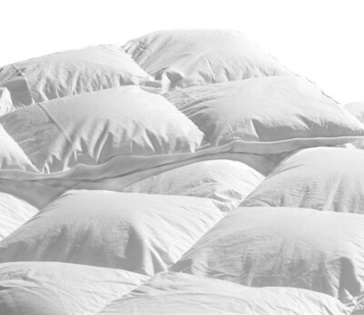 Alaska stagioni Piumino d'oca 1½ piazza 200x200 cm