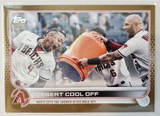 2022 Topps Update Desert Cool Off Gold Parallel #US221