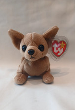 TY Beanie Baby Tiny The Chihuahua