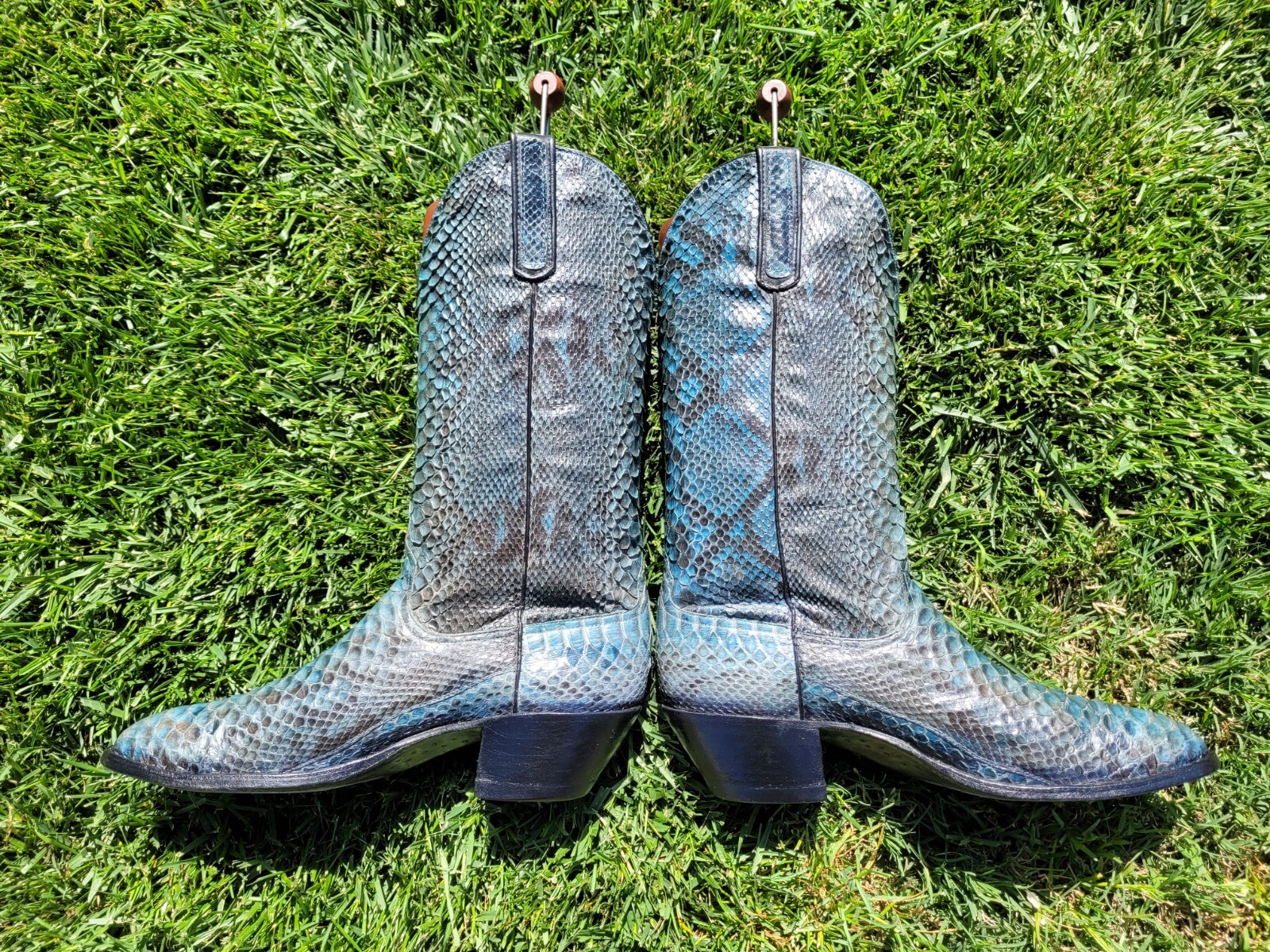 10.5 D ⭐ ANDERSON BEAN ⭐ BLUE ⭐ PYTHON ⭐ SNAKE ⭐ … - image 6