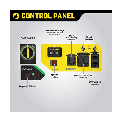 Champion Power Equipment 4750-Watt Dual Fuel Portable Generator