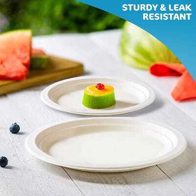 9 Inch Compostable Dessert Plates, Heavyduty Sugarcane/Bagasse And Bamboo Fibre Biodegradable Disposable Paper Plate - View #13