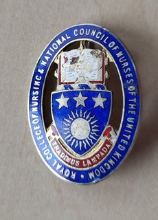Vintage enamel Silver Royal Council College of Nursing Medical brooch pin badge