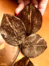 vintage millinery 1940s velvet 2 1/8x3" leaves mink brown 1 spray Japan