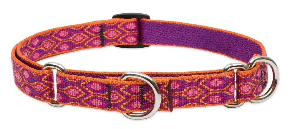 LupinePet Originals 3/4" Alpen Glow 14-20" Martingale Collar for Medium -L