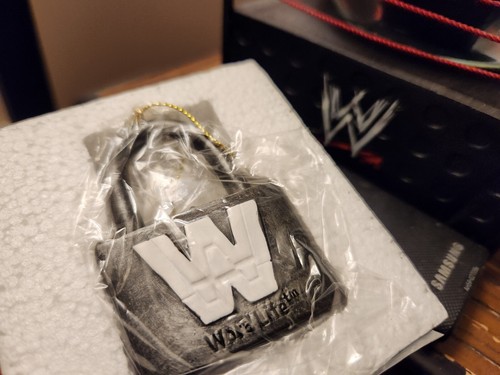WWE Summer Slam beach towel FYE item, 2 dvds & John Cena Word Life - Edge, Cody - Picture 8 of 14