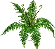 Plastic Fern 17" Bush Leaf Greenery Foliage Plant Flower In/Outdoor Decor USA