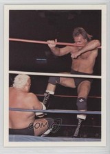 1988 Wonderama NWA Larry Zbyszko vs Dusty Rhodes #336 0w6