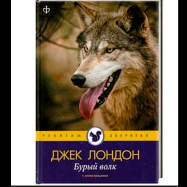 Джеклондон буры волк. Джеклондон буры волк. Бурый волк автор. Бурый волк автор. Джек лондон белый клык иллюстрации.