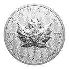 2024 Canadian Silver Maple Leaf 1 oz — photo from another recent sale