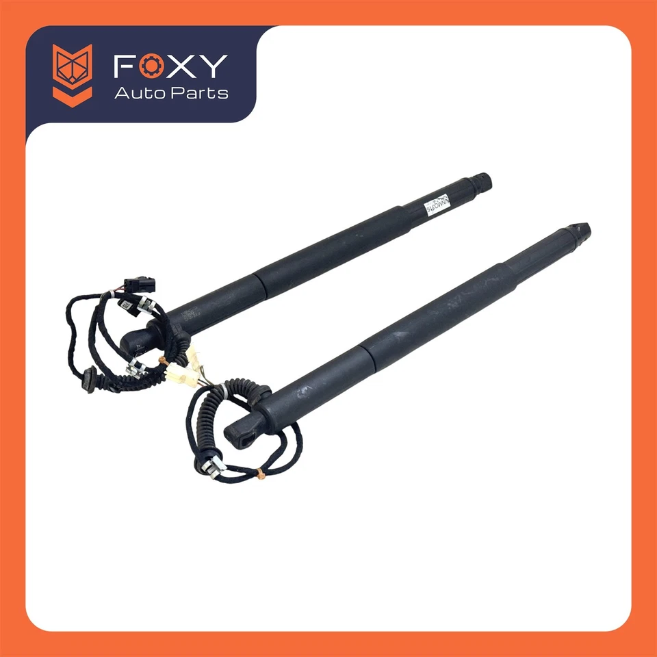 Conjunto de apoio de suspensão traseiro esquerdo e direito BMW X6 E71 E72 2008-2014 porta traseira fabricante de equipamento original - Imagem 4 de 4