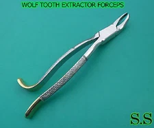 11" Wolf Tooth Extraction Forceps Hand Crafted Stainless Steel Dental Equine
