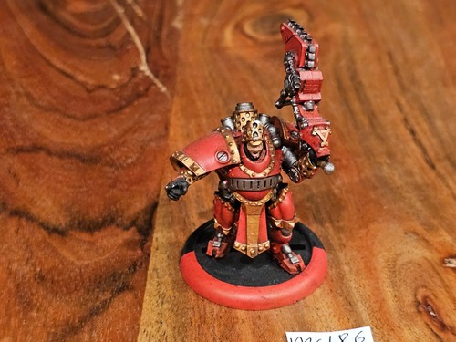 Hordas Warmachine Khador Hombre-O-Guerra Bombardier Oficial Bien Pintado MC186 - Imagen 15 de 24