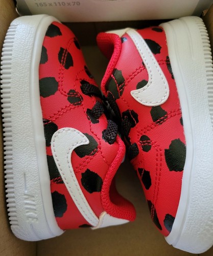 lady bug air force 1