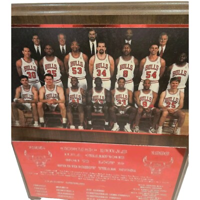 Chicago Bulls Plaque 1995-1996 national basketball association