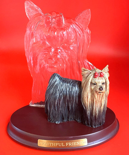 FAITHFUL FRIEND The Beautiful Yorkshire Terrier Bradford Exchange First Issue