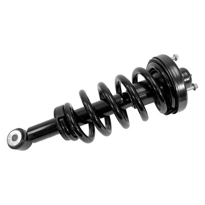 For Ford Expedition 07-17 Complete Strut Assembly Unity Rear Driver or Passenger
