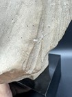 Foto 9 di 10