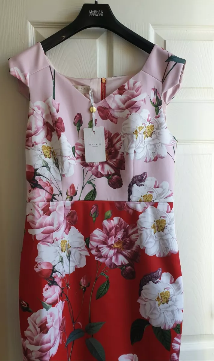 Ted baker hotsell iguazu dress