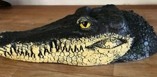 Latex mould for making This Alligator head