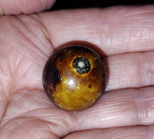 VINTAGE BENNINGTON POTTERY CLAY MARBLE 1" SHOOTER ESTATE 1890s BROWN