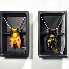 Megabass GATTAX Set Fishing Lure Sunset Bomber & Shima Kamikiri Unused