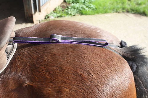 CRUPPER Web Correra Silla Dee to Tail Mini Pony Cob F/S Colores Shetland - Imagen 28 de 63