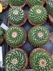 Foto 6 di 8