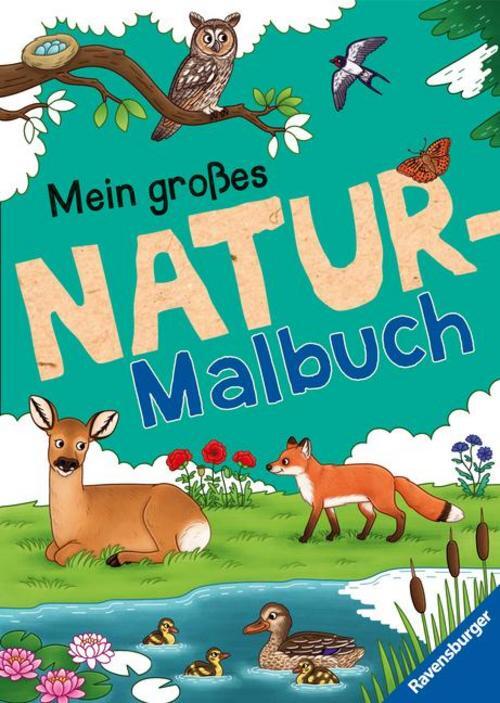 Thumbnail - Ravensburger Mein Großes Natur-malbuch - Heimische Waldtiere,