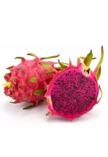 Fresh Red Dragon Fruit - Quality Fresh Dragon Fruit