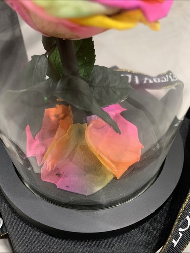Preserved Rose in Glass Dome Eternal Enchanted -Infinity Rainbow Rose H flowers - Picture 6 of 17