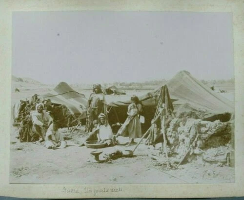 Photographies d'art du XIXe siècle et avant procédés anciens, de Amérique du Nord